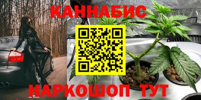 сатива Канаш