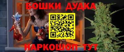 сатива Канаш