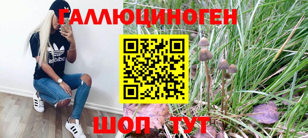 Псилоцибиновые грибы MAGIC MUSHROOMS  Вход с VPN  Люберцы  Псилоцибиновые грибы Psilocybine cubensis 
