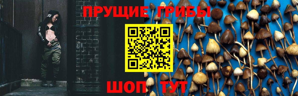 Галлюциногенные грибы MAGIC MUSHROOMS Люберцы